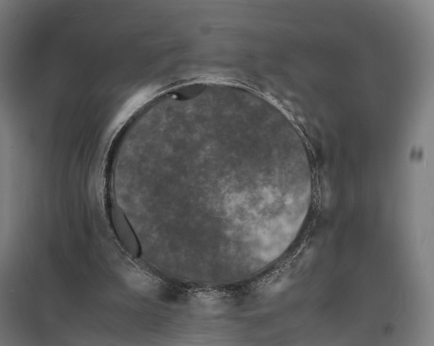 X0000097620199200803281044
