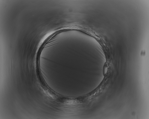 X0000097620200200803281044