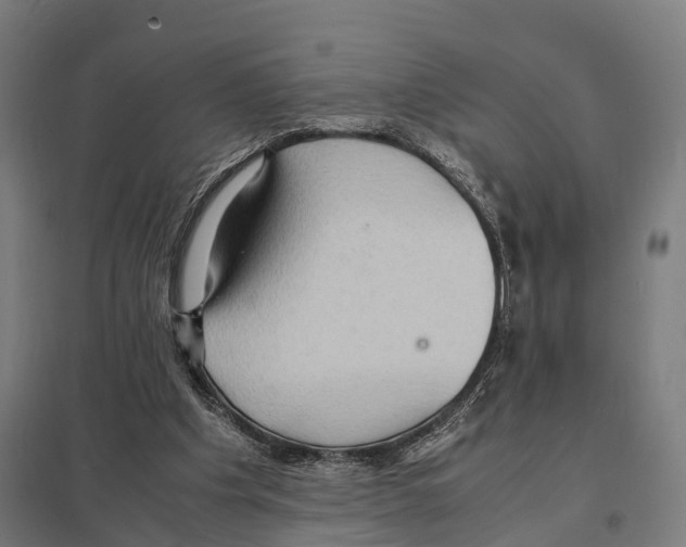 X0000097620201200803281044
