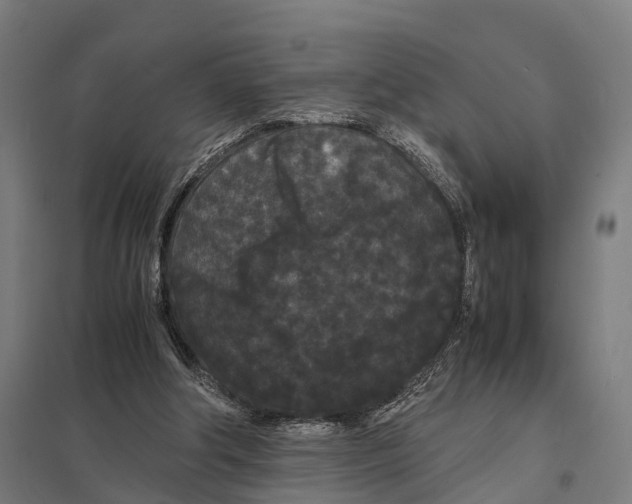 X0000097620202200803281044