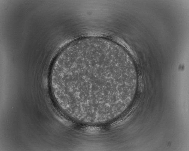 X0000097620203200803281044