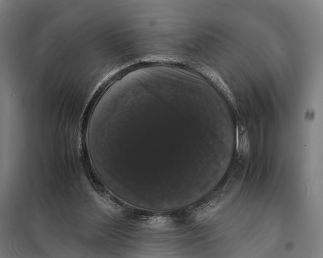 X0000097620204200803281044