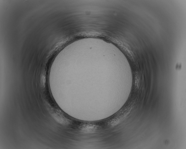 X0000097620206200803281044