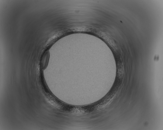 X0000097620207200803281044
