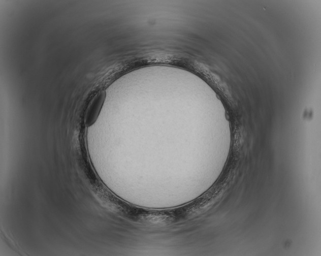 X0000097620209200803281044
