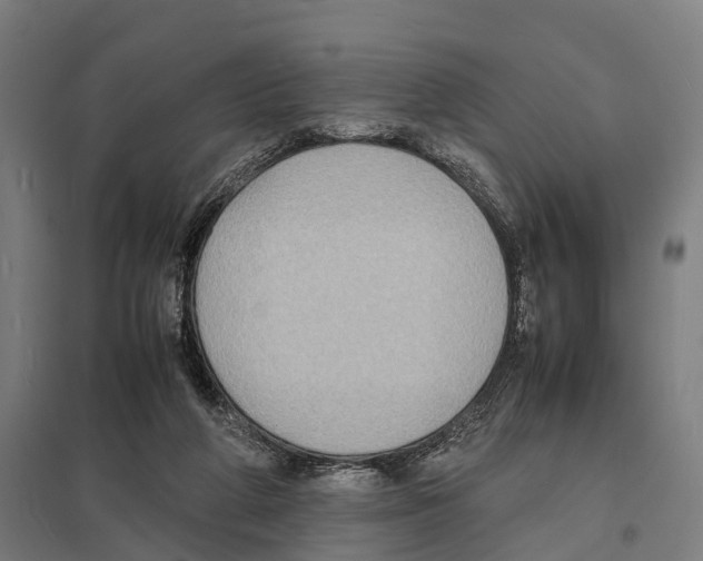X0000097620210200803281044