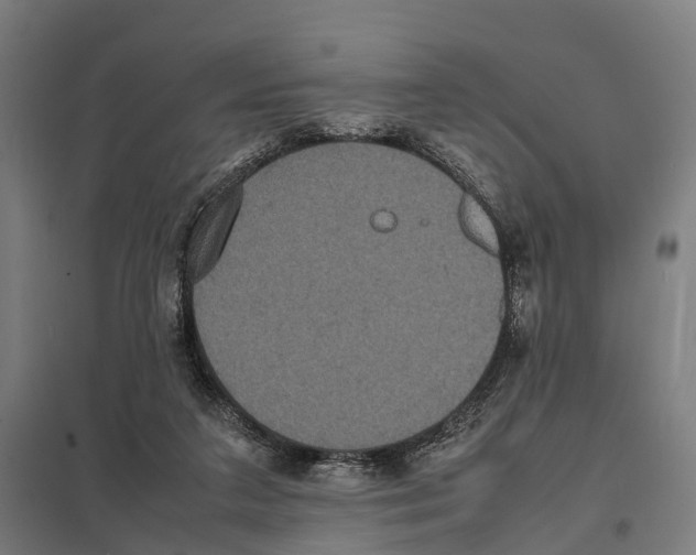 X0000097620211200803281044