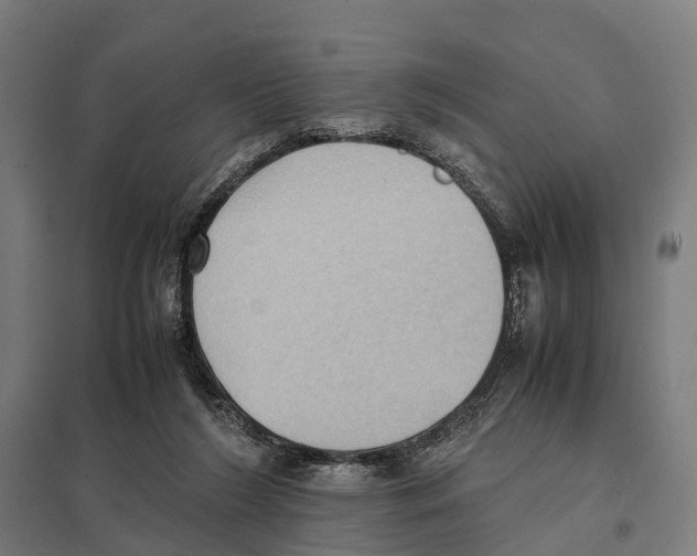 X0000097620212200803281044