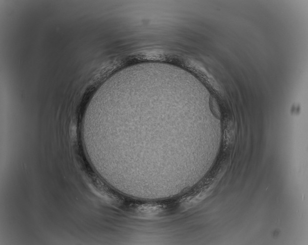 X0000097620213200803281044