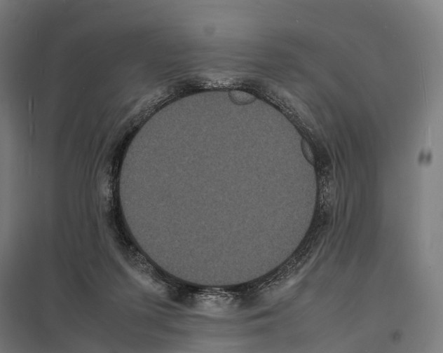 X0000097620215200803281044