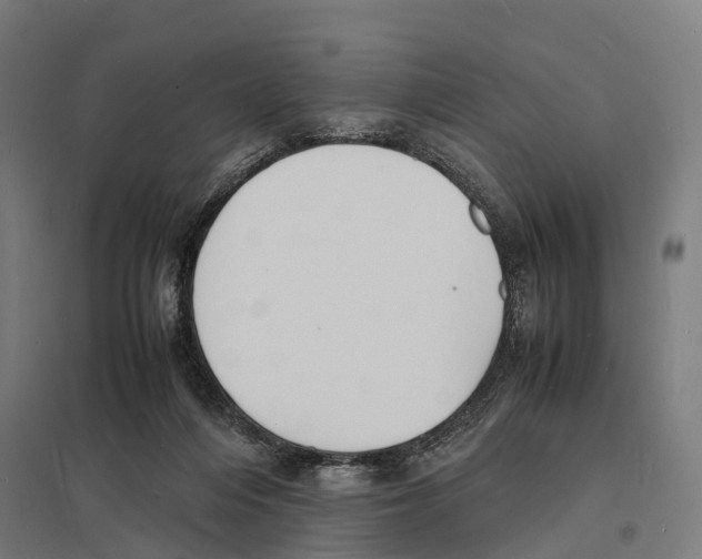 X0000097620216200803281044