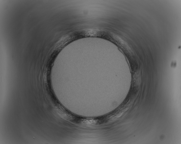 X0000097620217200803281043