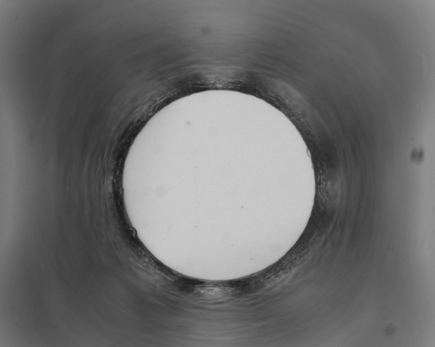 X0000097620221200803281043