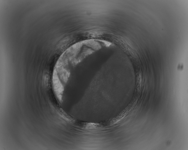 X0000097620222200803281043