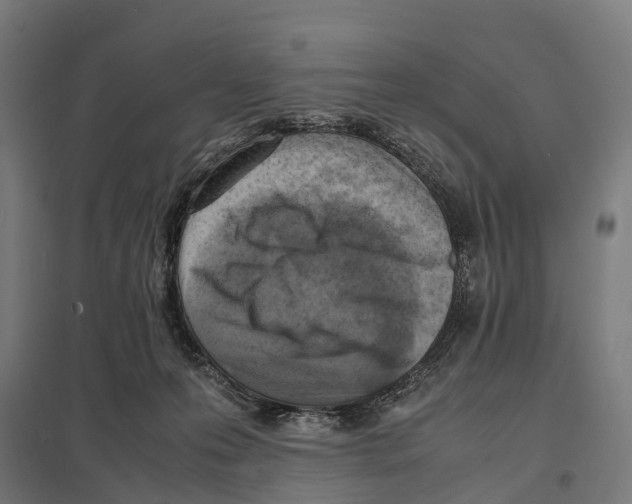 X0000097620223200803281043