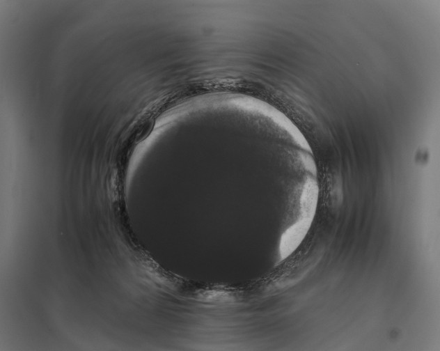 X0000097620224200803281043