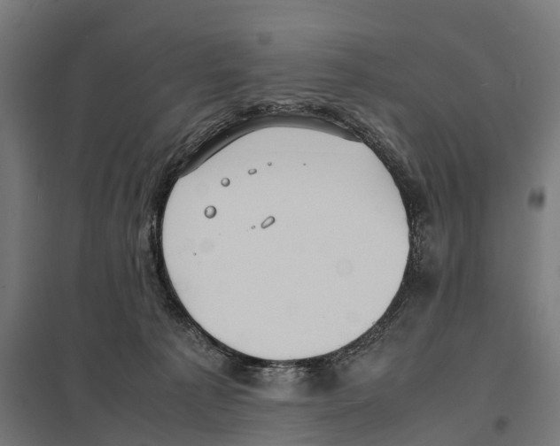 X0000097620225200803281043