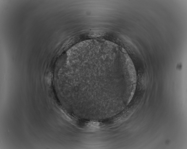 X0000097620227200803281043
