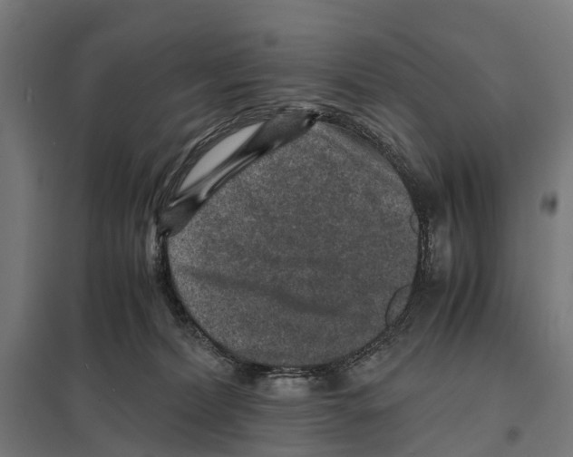 X0000097620228200803281043