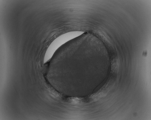 X0000097620229200803281043