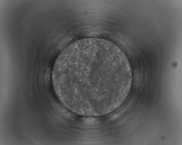 X0000097620230200803281043