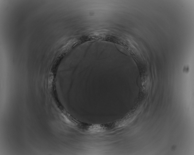 X0000097620231200803281043