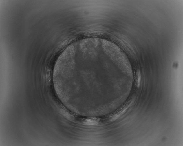 X0000097620232200803281043