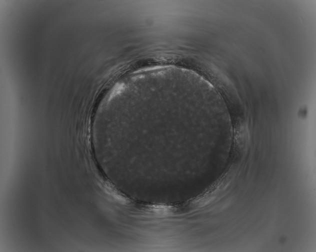 X0000097620233200803281043