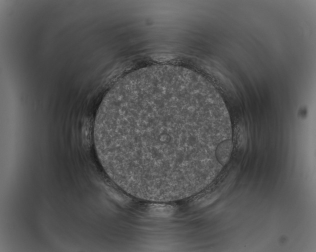 X0000097620234200803281043