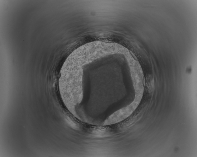 X0000097620235200803281043