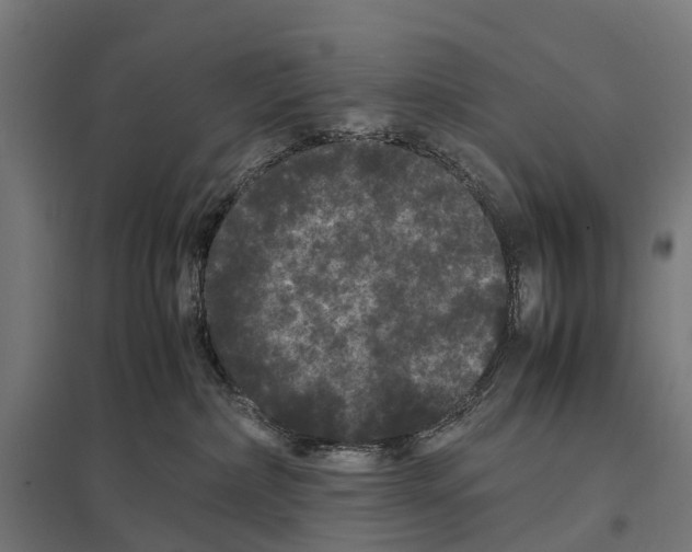 X0000097620236200803281043