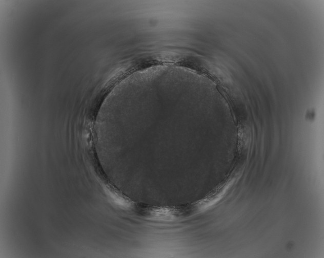 X0000097620237200803281043
