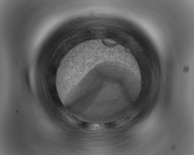 X0000097620239200803281043