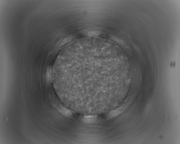 X0000097620240200803281043