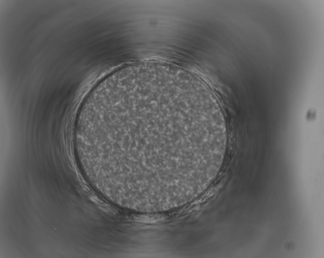 X0000097620241200803281042