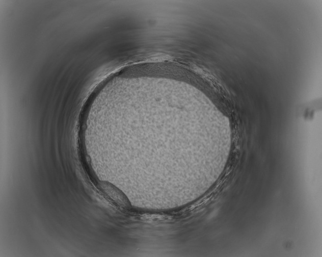X0000097620242200803281042
