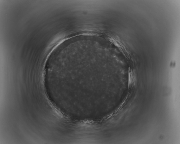 X0000097620243200803281043