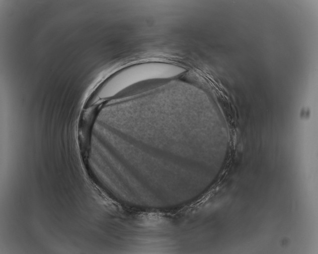 X0000097620244200803281043