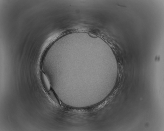 X0000097620245200803281043