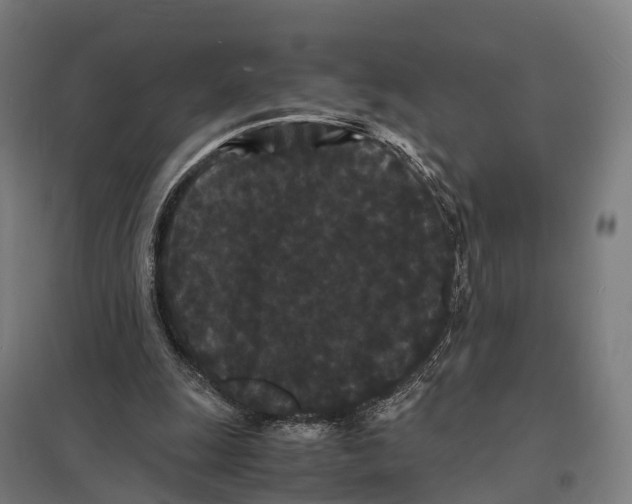 X0000097620247200803281043