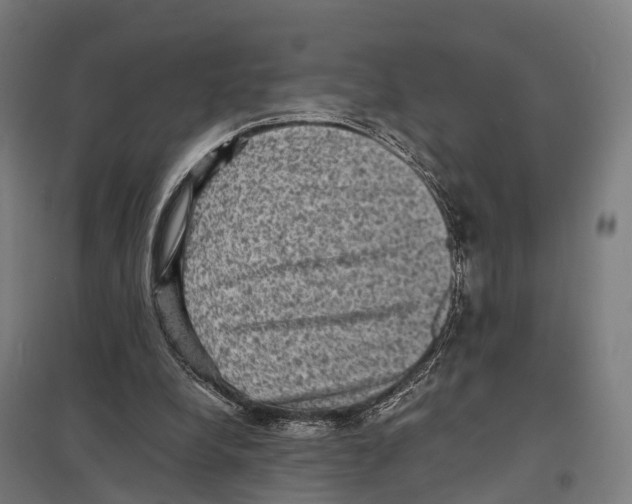 X0000097620248200803281043