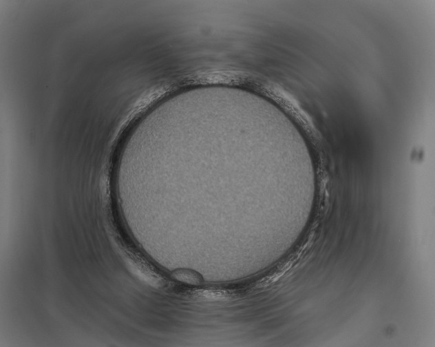X0000097620250200803281043