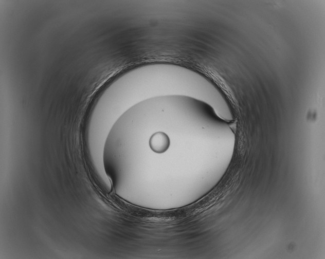 X0000097620251200803281043