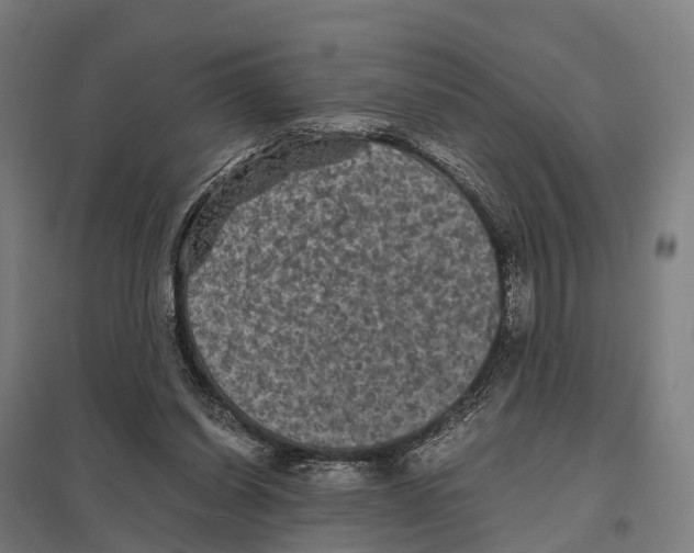 X0000097620254200803281043