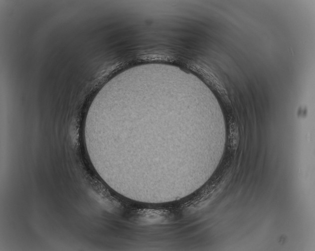 X0000097620255200803281043