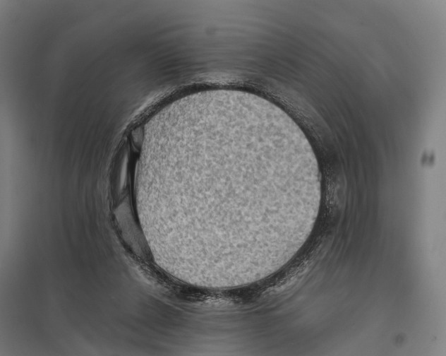 X0000097620256200803281043