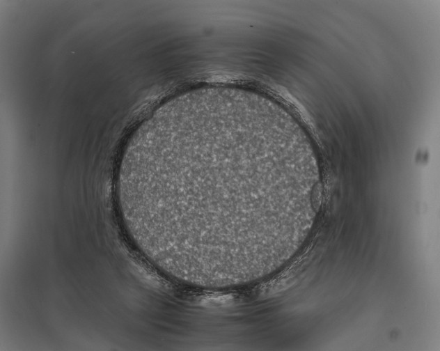 X0000097620257200803281043