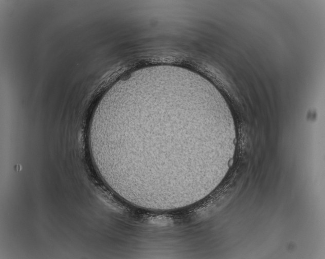 X0000097620258200803281043