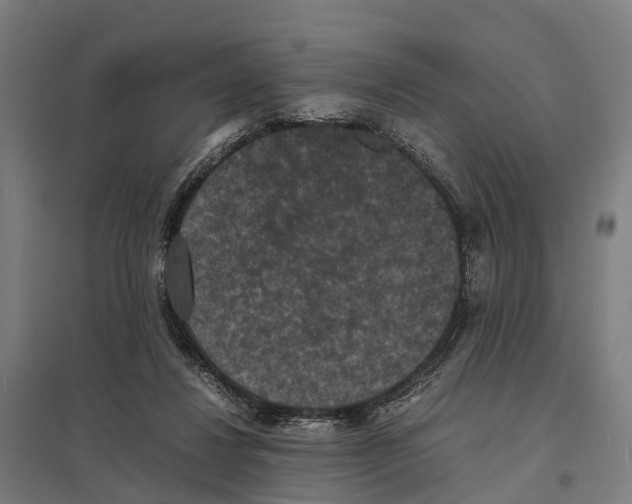 X0000097620260200803281043
