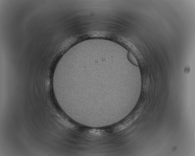 X0000097620261200803281043